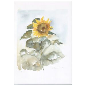 015 - Sonnenblume