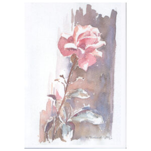 027 - Rosa Rose