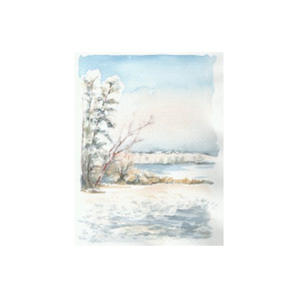 304 - Winterstudie