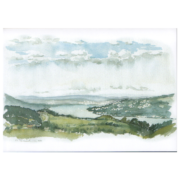 009 - Schindellegi Blick Zürichsee